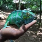 Récupérer mon ex partenaire Paiement après résultat