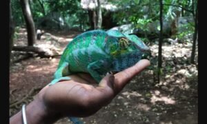 Lire la suite à propos de l’article Récupérer mon ex partenaire Paiement après résultat